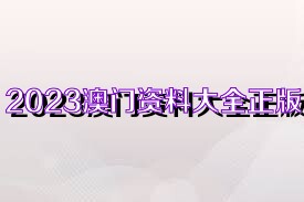 2023管家婆资料正版大全澳门，数据资料解释落实_探索版0.267