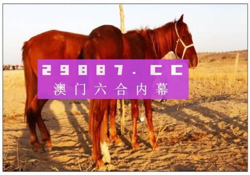 六开彩澳门开奖结果查询，最新答案解释落实_免费版7.30