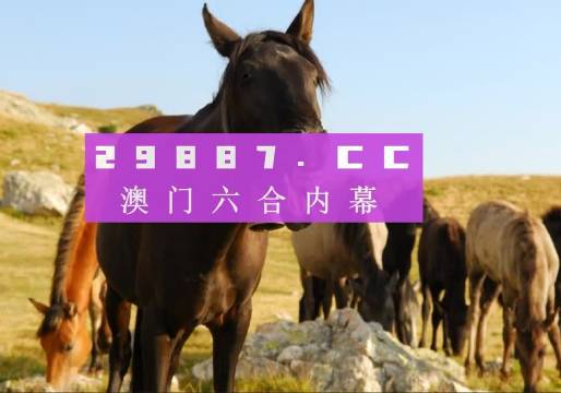 澳门管家婆一肖一码一特，效率资料解释落实_精英版7.307