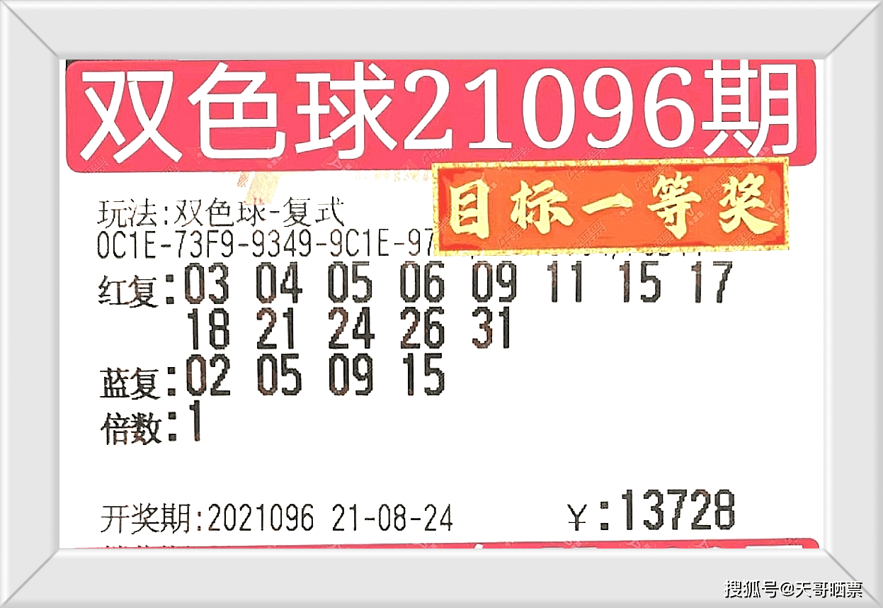 2024今晚澳门特马开什么码，科技成语分析落实_创意版5.307