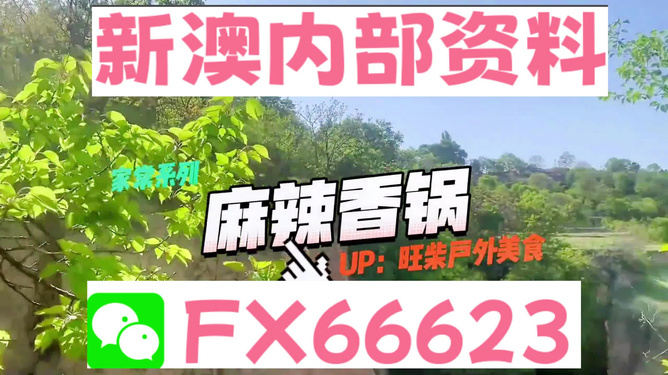 新澳精准资料免费提供,定性解答解释落实_限量版30.30.75