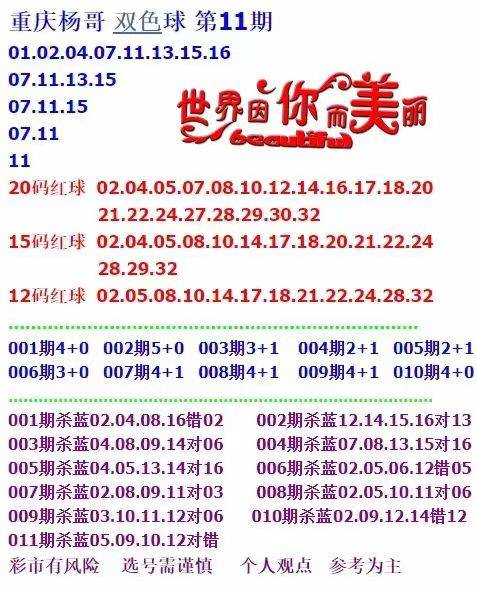 正版资料免费资料大全十点半，数据资料解释落实_探索版0.265