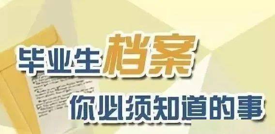 2024年11月6日 第47页