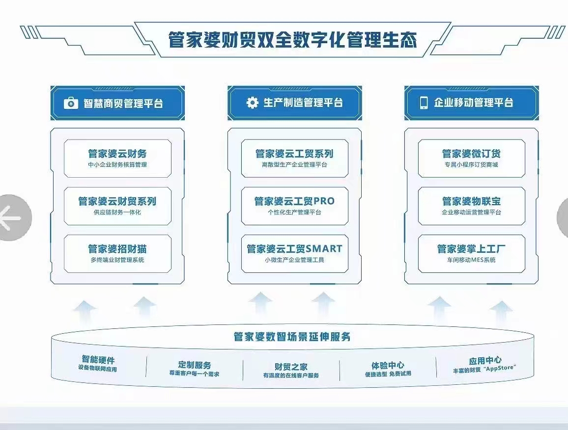 管家婆的资料一肖中特，效率资料解释落实_精英版9.297