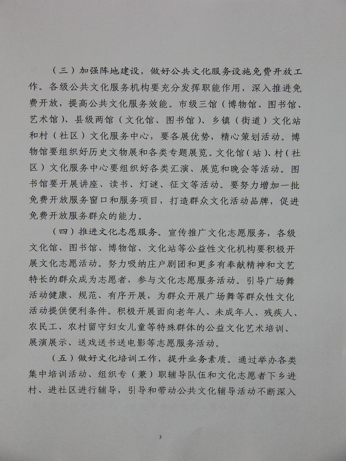 群众文化活动方案的核心结构与规划纲要