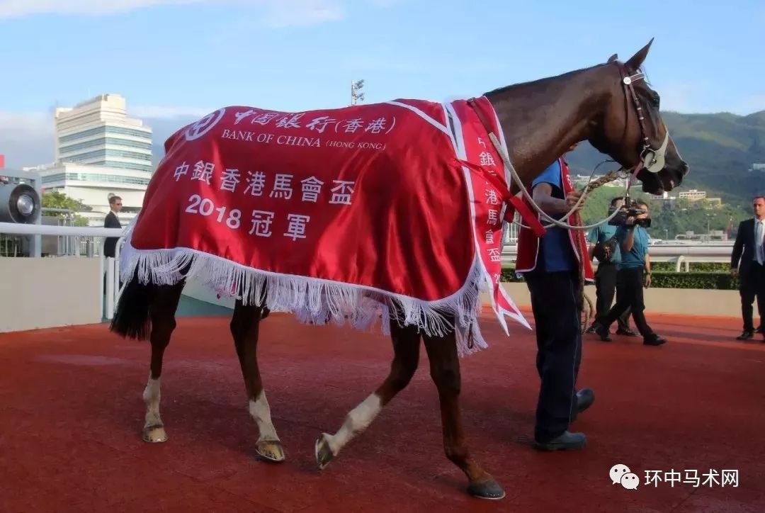 南风过熙 第4页