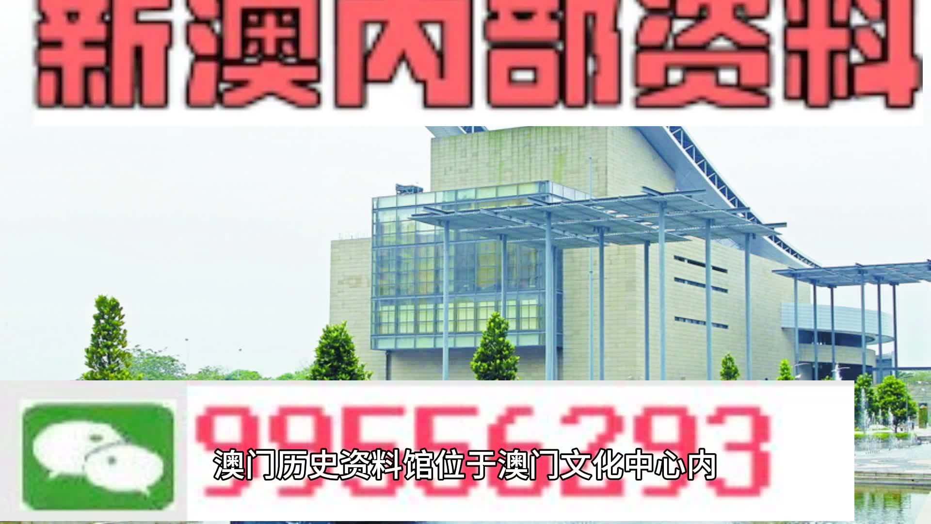 新澳门天天彩2024年全年资料，决策资料解释落实_储蓄版7.464