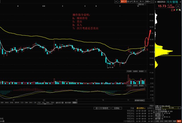 牛股深度解析与推荐，投资策略指南