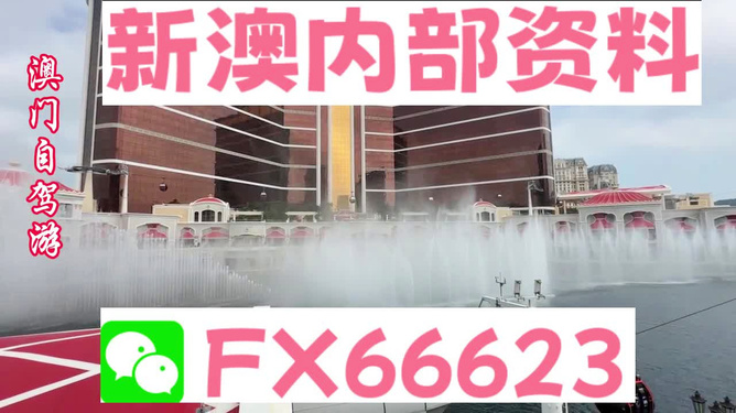 新澳内部一码精准公开,可靠信息解析说明_T98.942