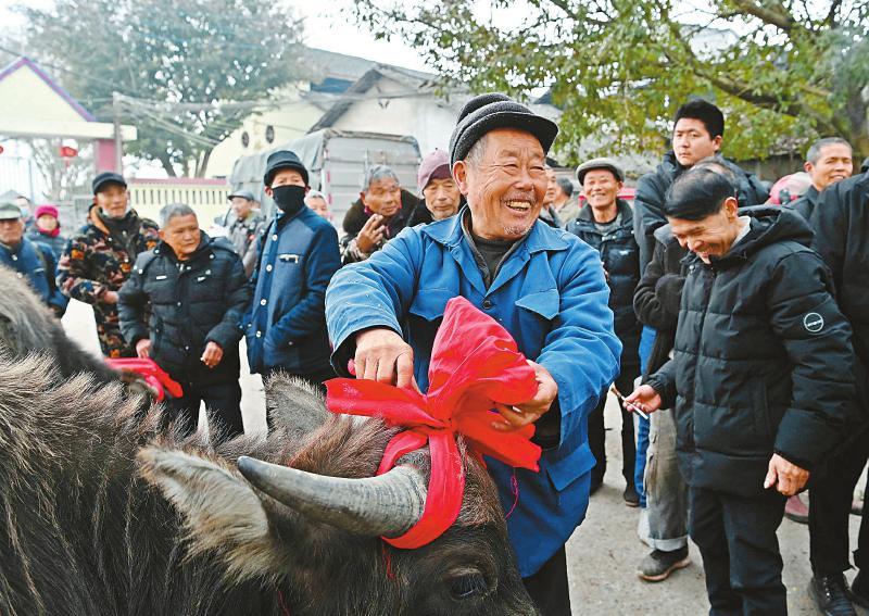 南充地方风俗深度调查报告，揭示独特习俗与传统魅力