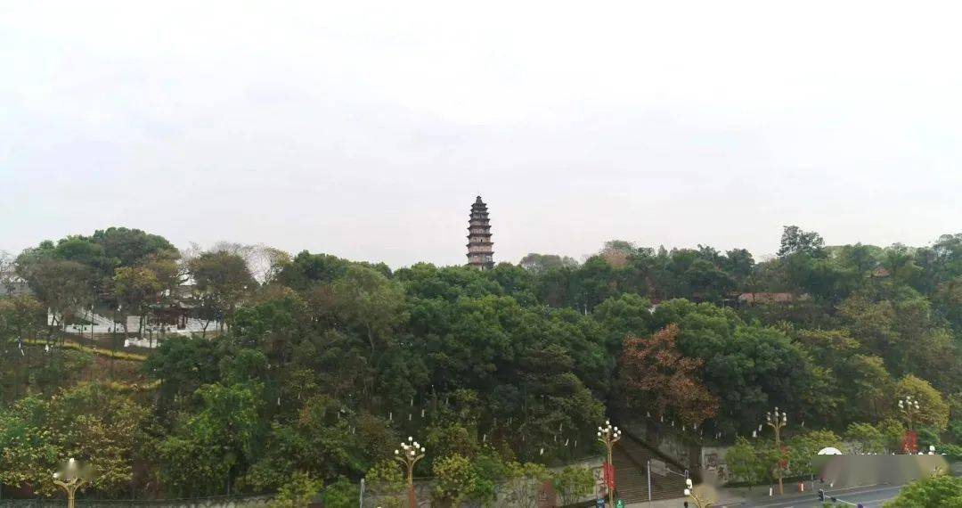 南充风景全攻略，完美旅行指南