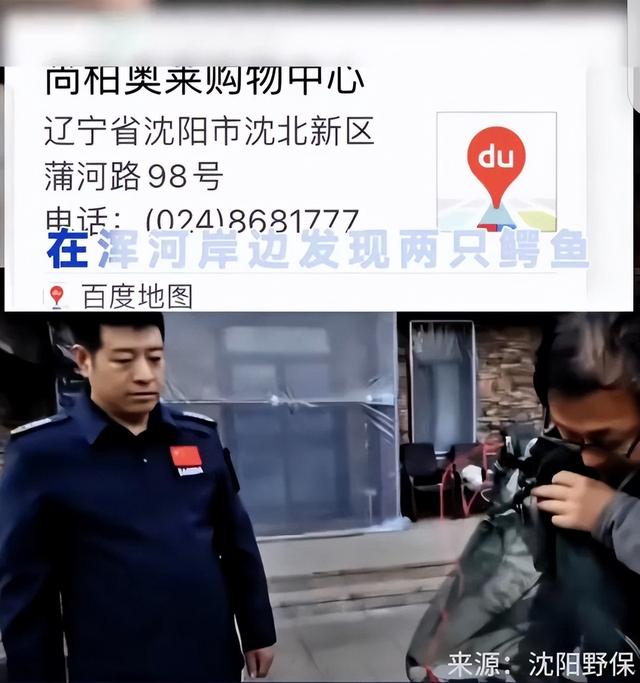 慕无苏 第4页