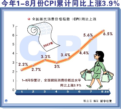 十月CPI上涨背后的经济现象与趋势分析