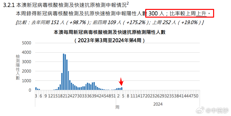 澳门历史深度探寻，时光深处的足迹（2024年回顾展）