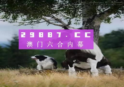 科技成语解读，跑狗新版特性分析及其创意应用