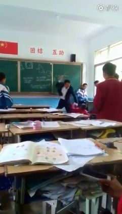 学生倒垃圾出声遭老师抽耳光事件，专家解析与事件回顾