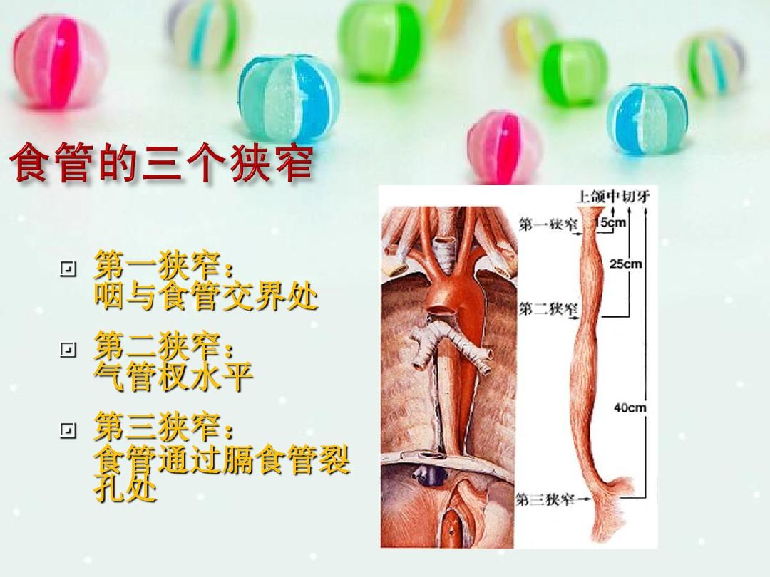 胃管最新固定方法介绍PPT展示