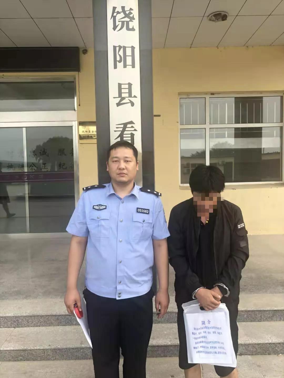 饶阳最新刑事案件深度剖析