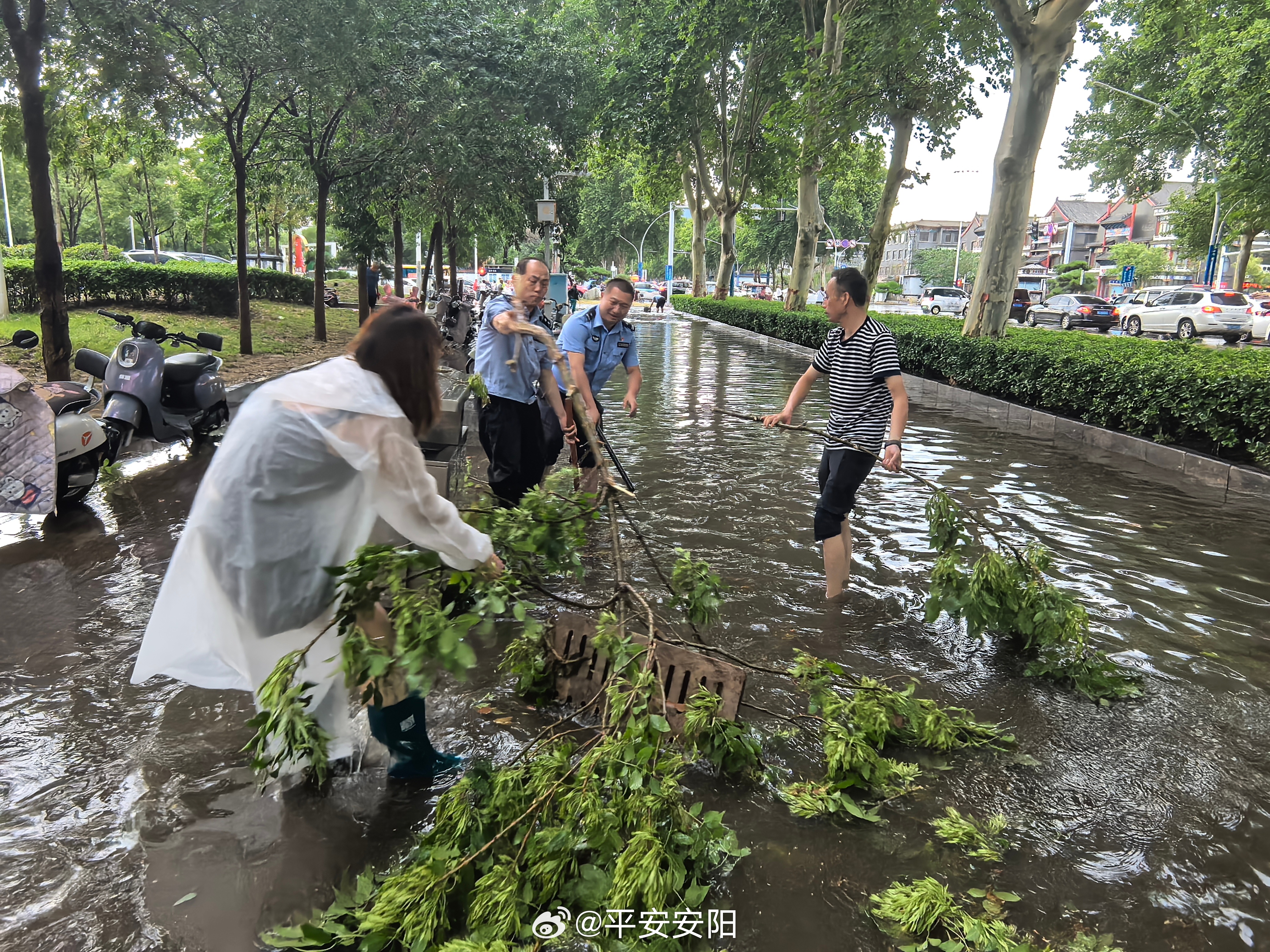 安阳暴雨最新动态，城市暴雨应对挑战揭秘