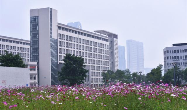 广东财经大学，繁荣学术，精英培育基地