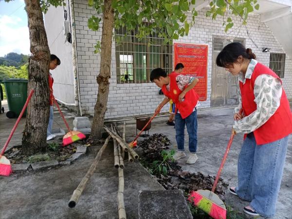 社会，复杂脉络与多元舞台的交织发展