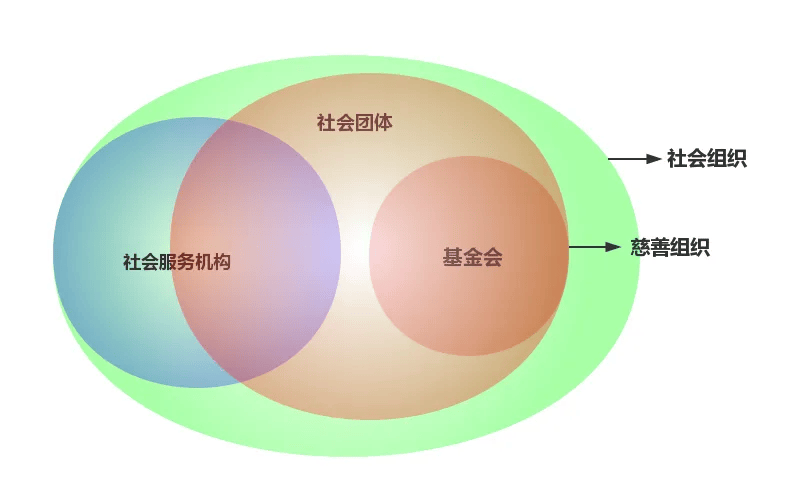 社会团体，定义、意义与功能的深度探究