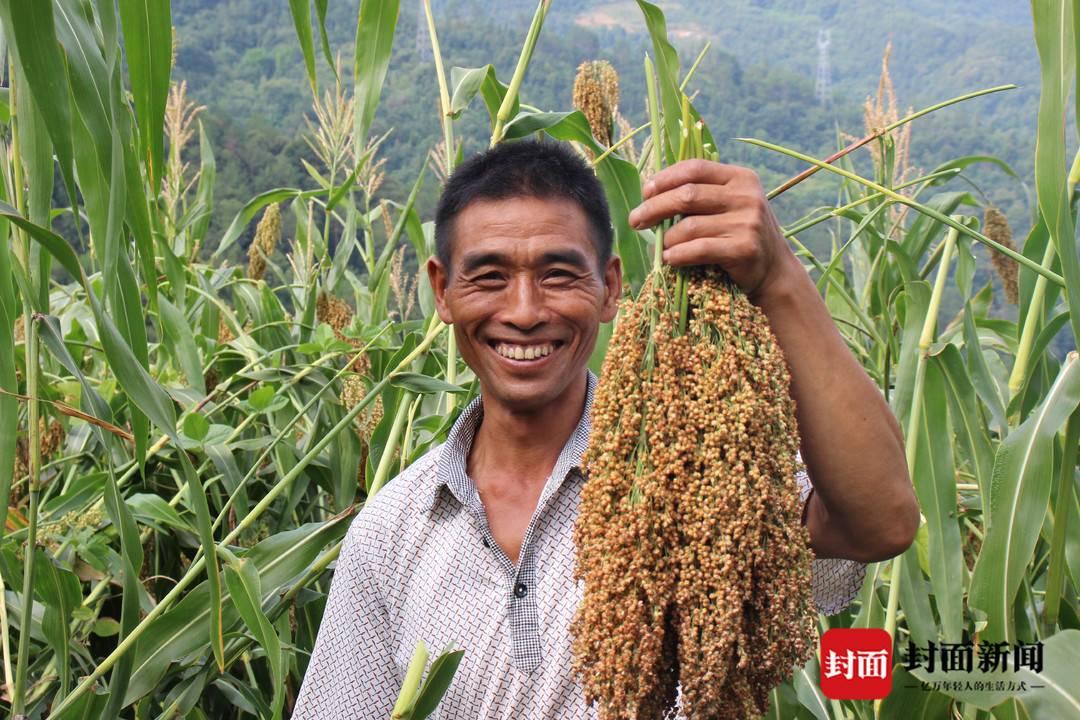 揭秘红高粱背后的摄影指导，张艺谋成功的关键人物XXX探索之旅