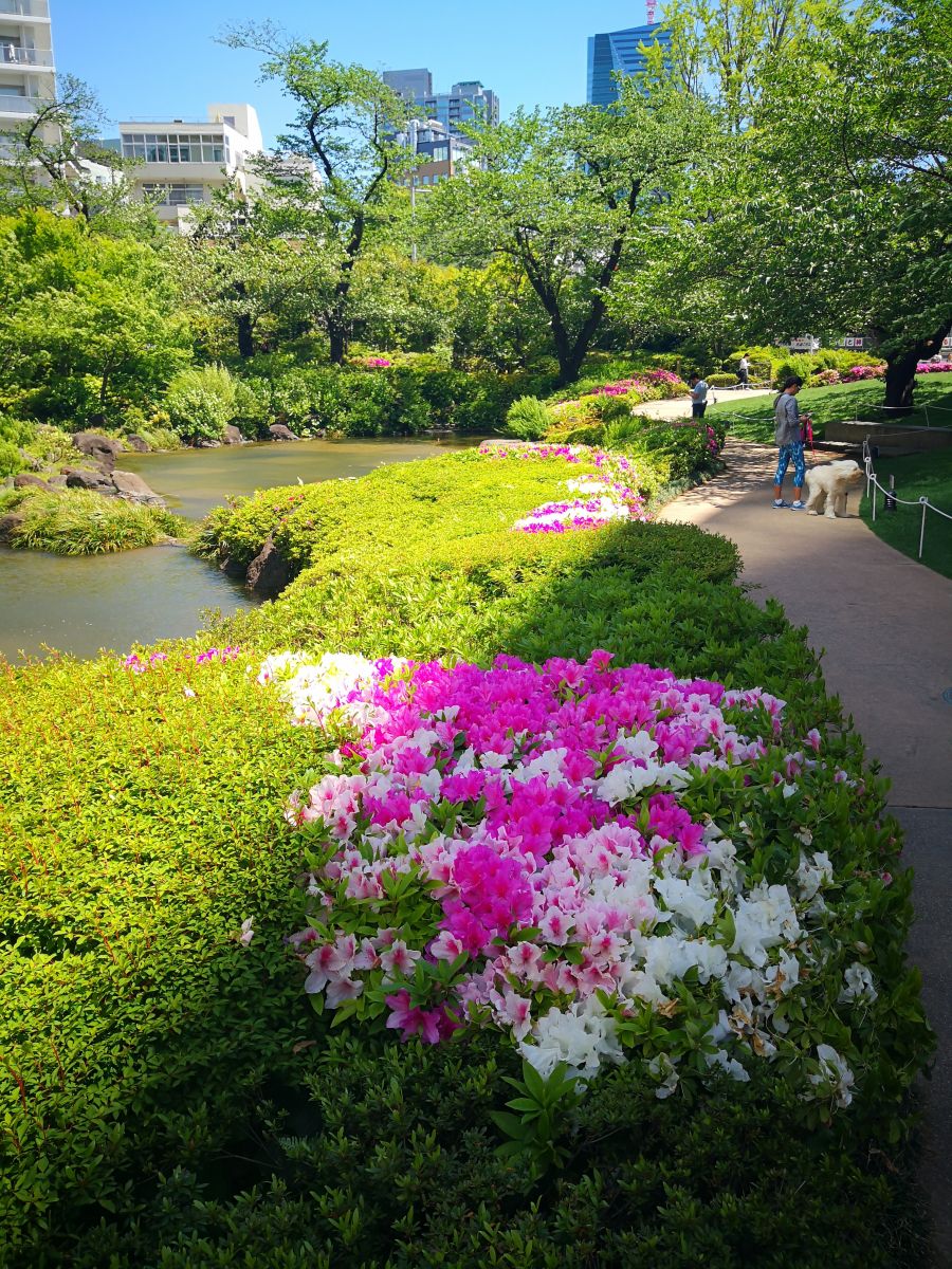 花园城市中的生活艺术，探访日本千叶县习志野的生活点滴