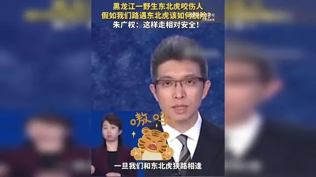 左手重生，东北虎咬伤村民后的奇迹康复之旅