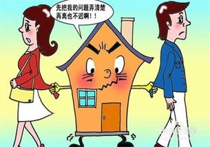 深度解析与探讨，婚姻法对居住权和财产权的保护之道