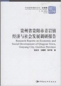 地方经济社会发展深度调查报告，揭示现状、挑战与机遇