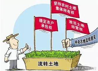 社会保障体系改革对民众生活的深远影响