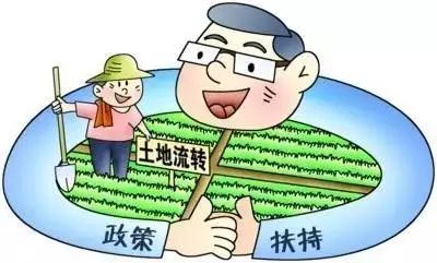 农村土地流转政策对农民生活影响的深度探究