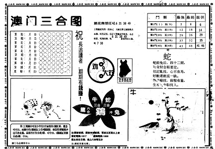 王中王中特网资料大全深度解析与综合概述指南