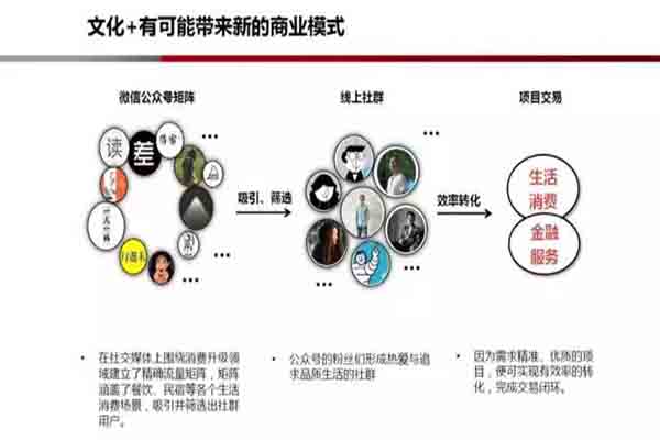 网络文化对社会互动模式的重塑影响研究