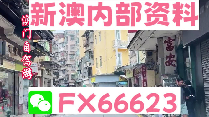 新澳精准资料免费探索，第4949期奥秘与价值揭秘