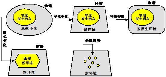 非遗文化数字化保护创新路径探究