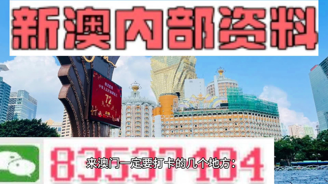 新澳精准资料免费探索，第4949期奥秘与价值揭秘