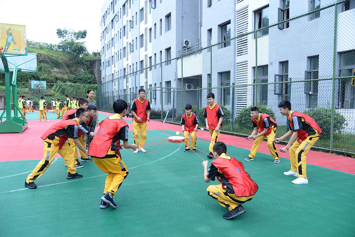 小学课外活动多元化，素质教育的重要性与影响